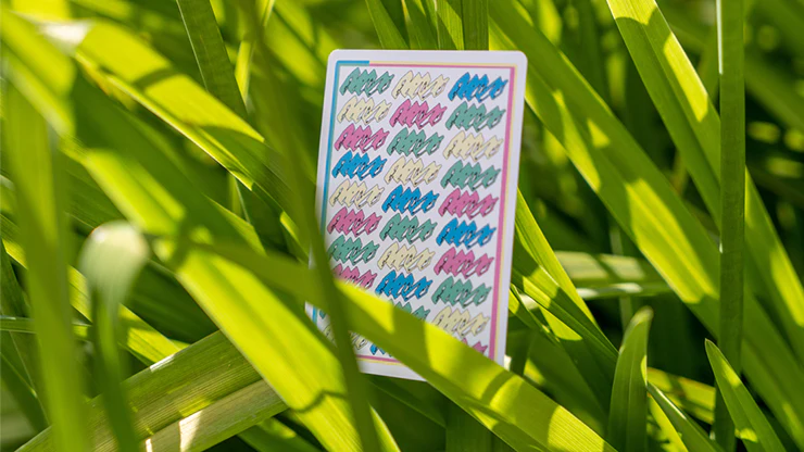 Aedijux Playing Cards USPCC - Image 3