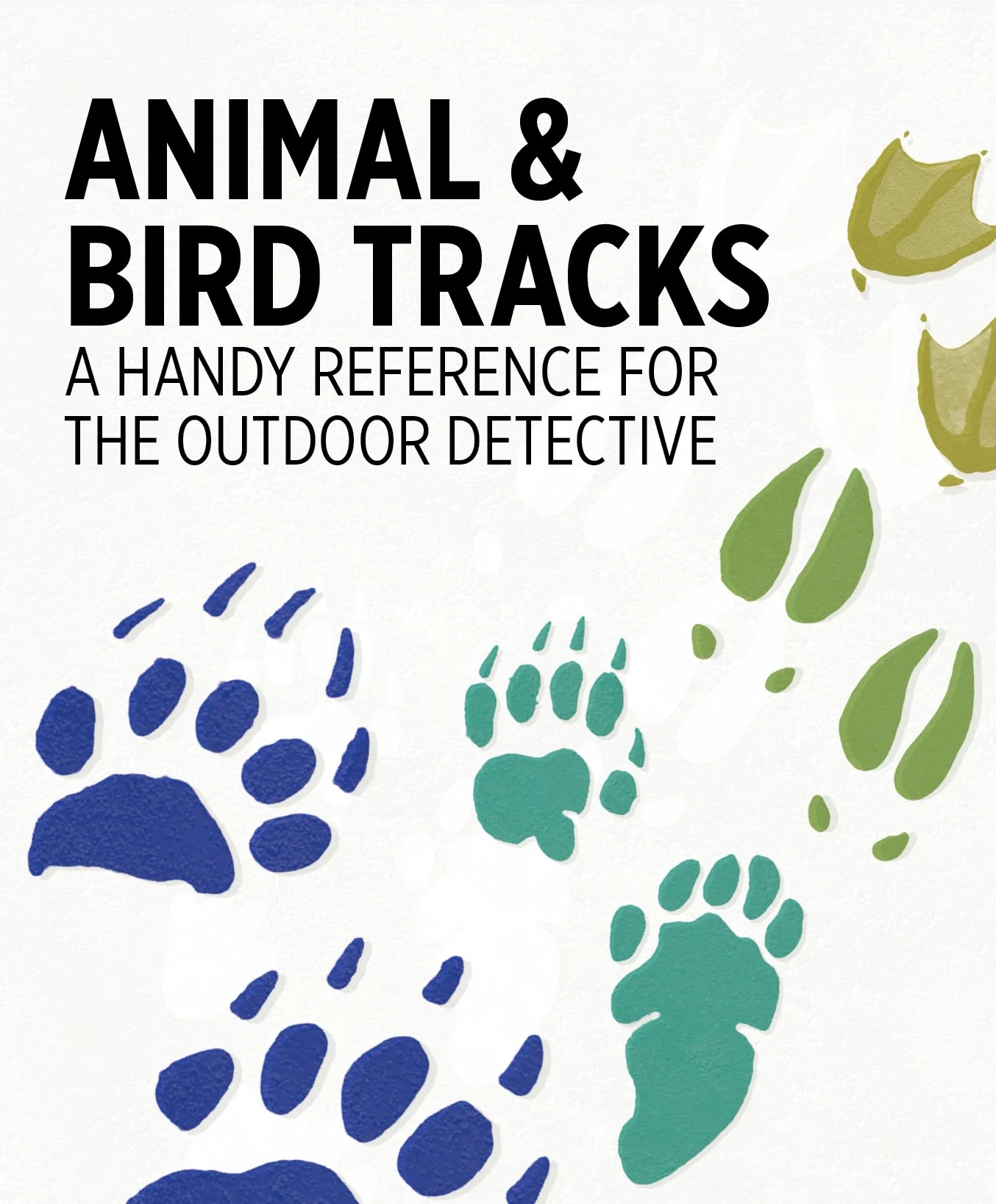 Animal & Bird Tracks: A Handy Reference For the Outdoor Detective Knowledge Cards - Image 2