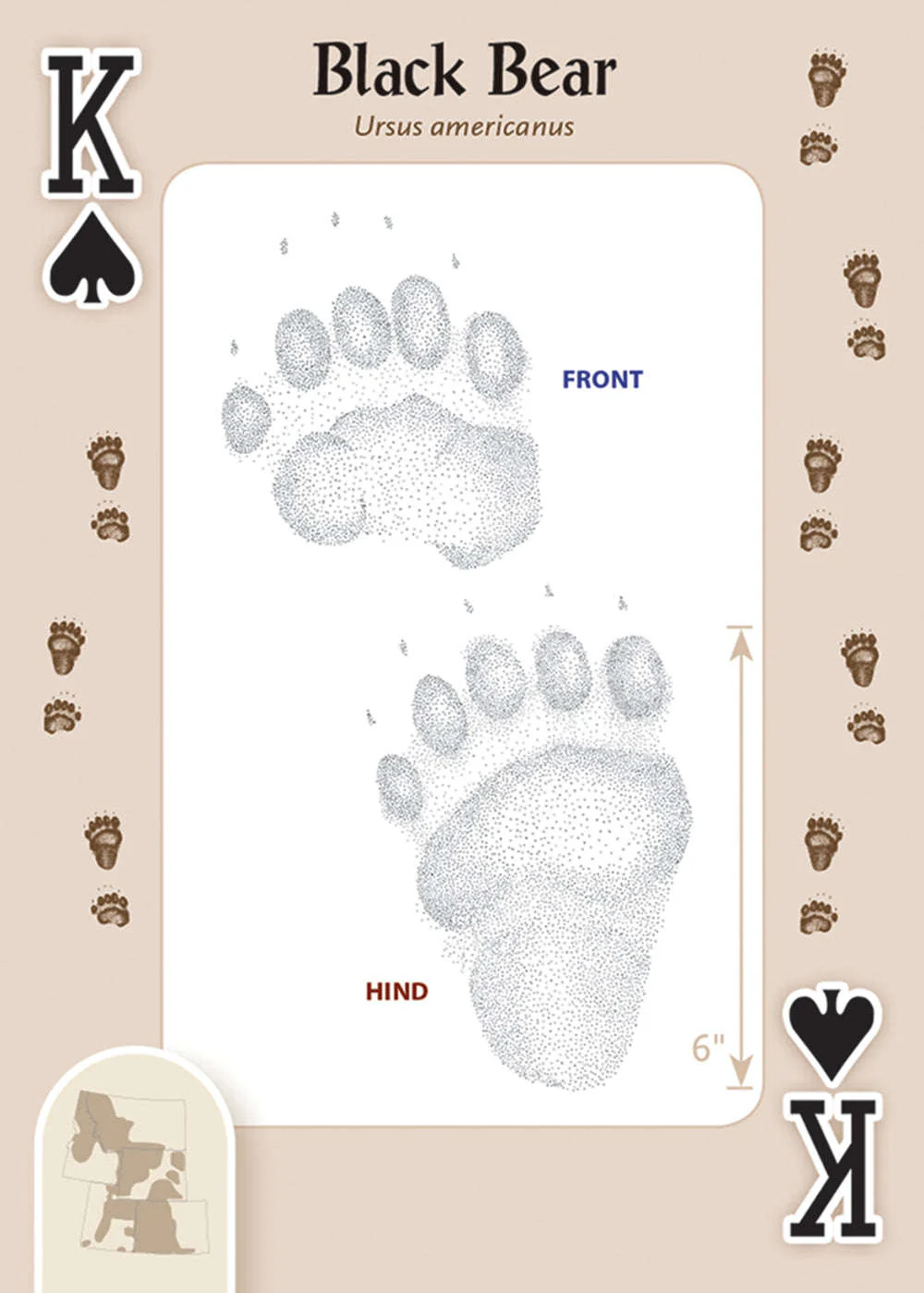 Animal Tracks of the Rocky Mountains Playing Cards - Image 3
