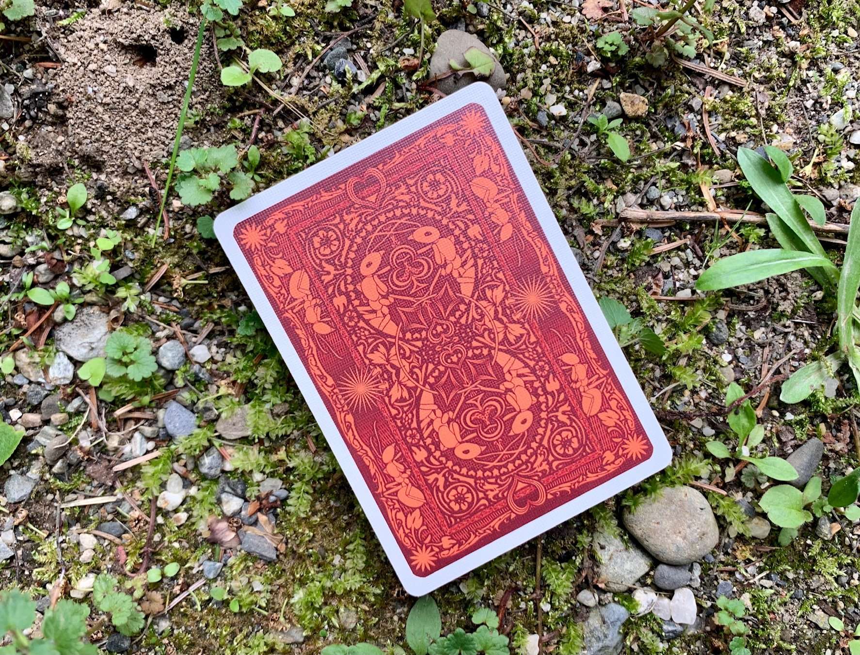 Ant Bicycle Playing Cards - Image 15