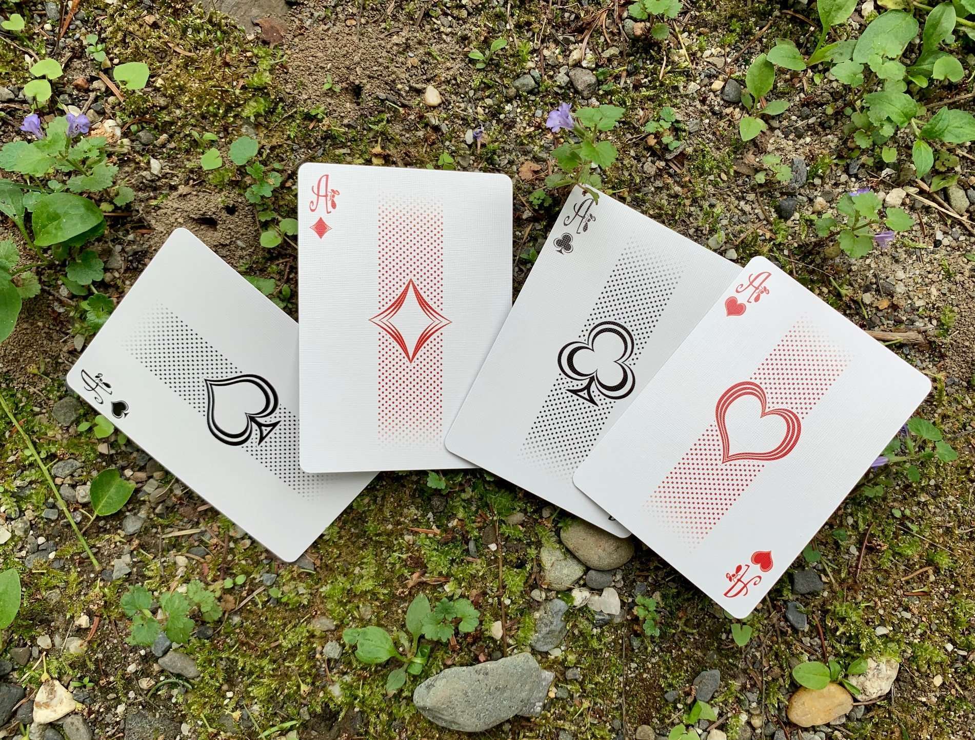 Ant Gilded Bicycle Playing Cards - Image 10