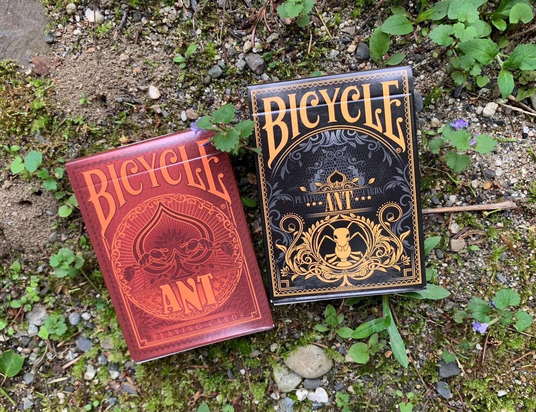 Ant Gilded Bicycle Playing Cards - Image 8