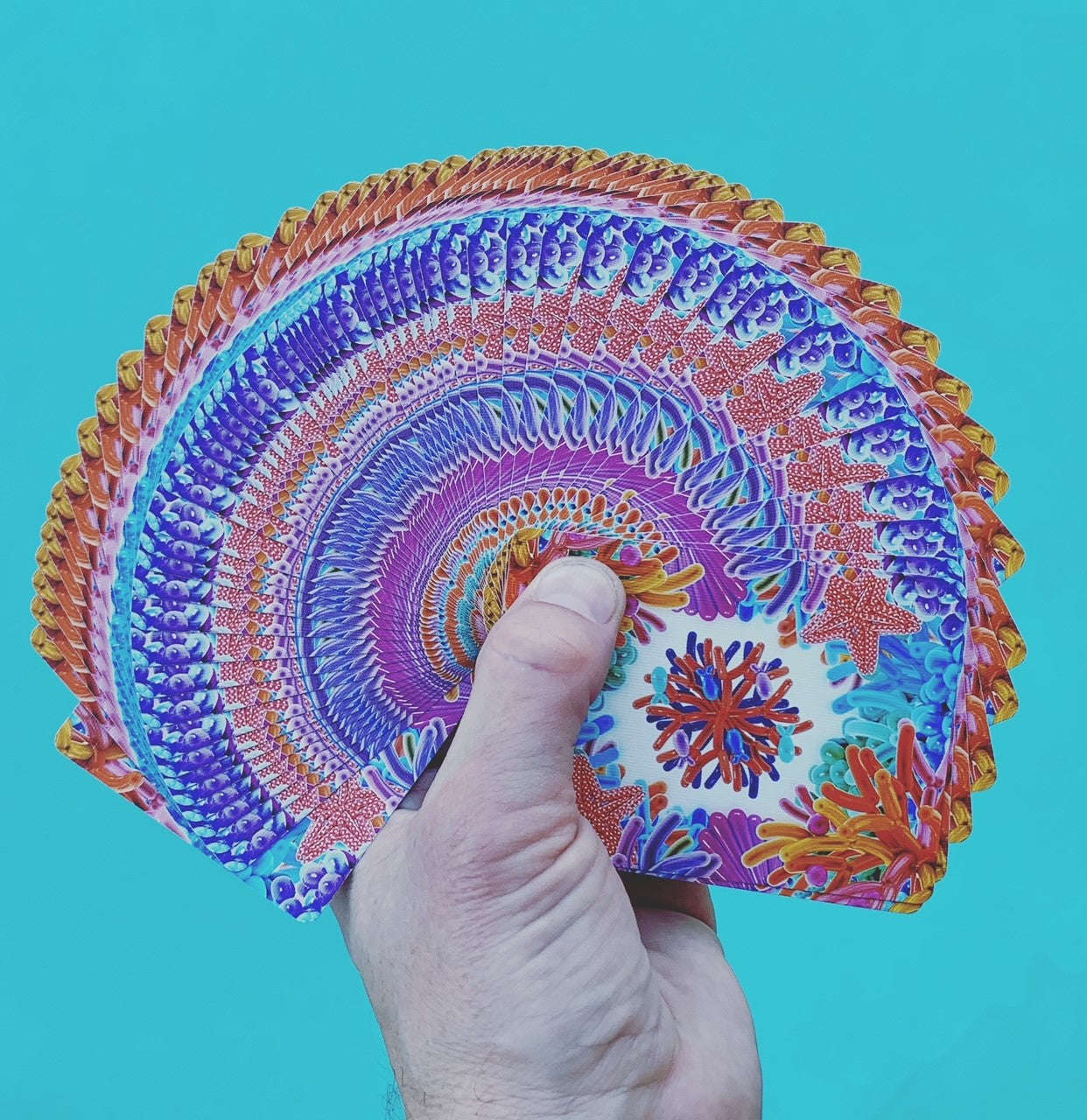 Balloon Ocean Gilded Bicycle Playing Cards - Image 12