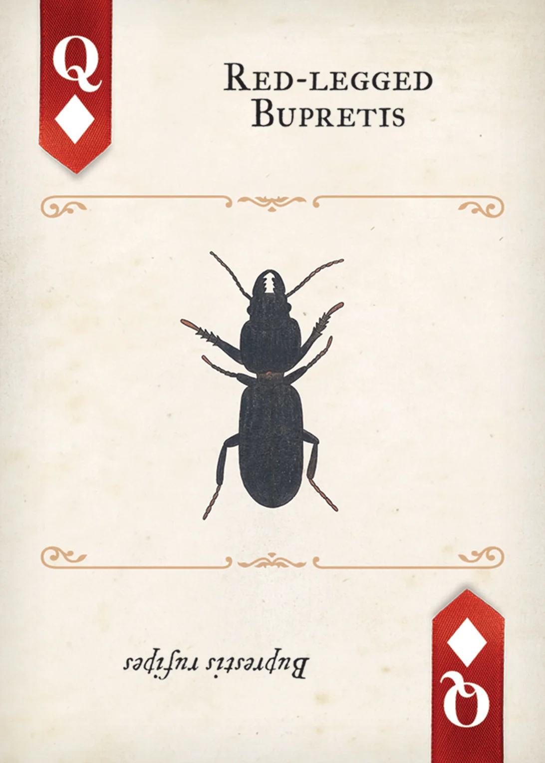 Beetles Playing Cards - Image 7