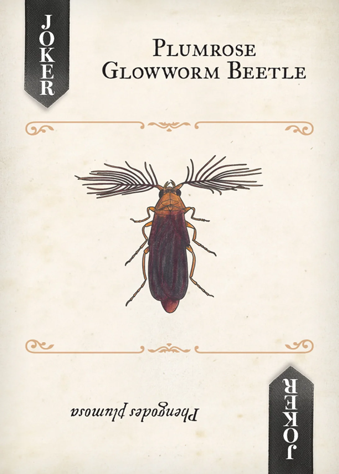 Beetles Playing Cards - Image 9