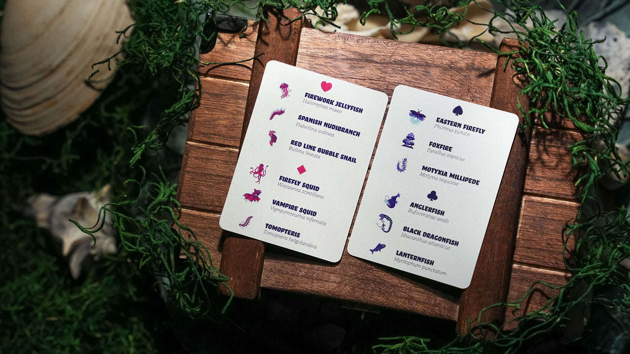 Bioluminescent Playing Cards - Image 5