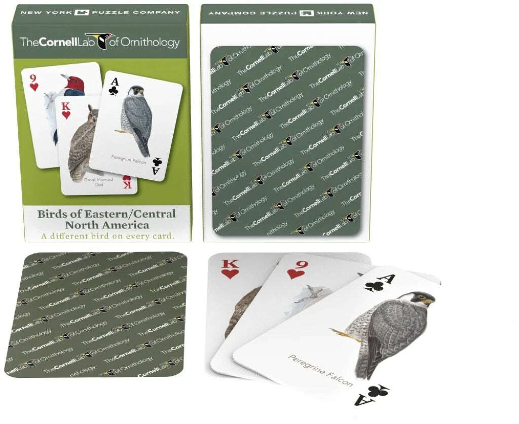 Birds of Eastern / Central North America Playing Cards NYPC - Image 4