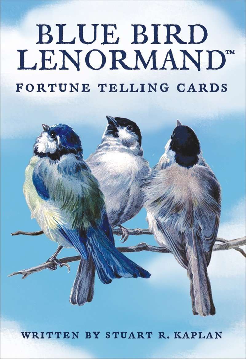 Blue Bird Lenormand Fortune Telling Cards USGS - Image 2