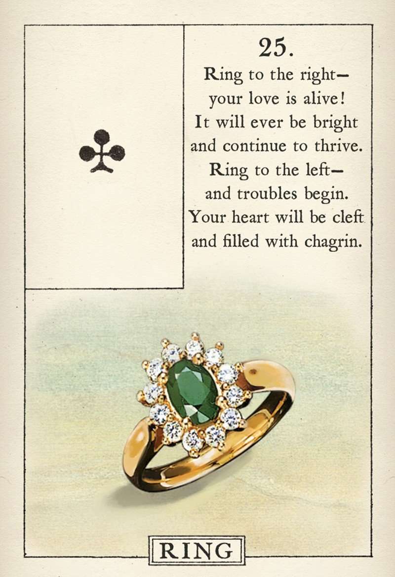 Blue Bird Lenormand Fortune Telling Cards USGS - Image 6