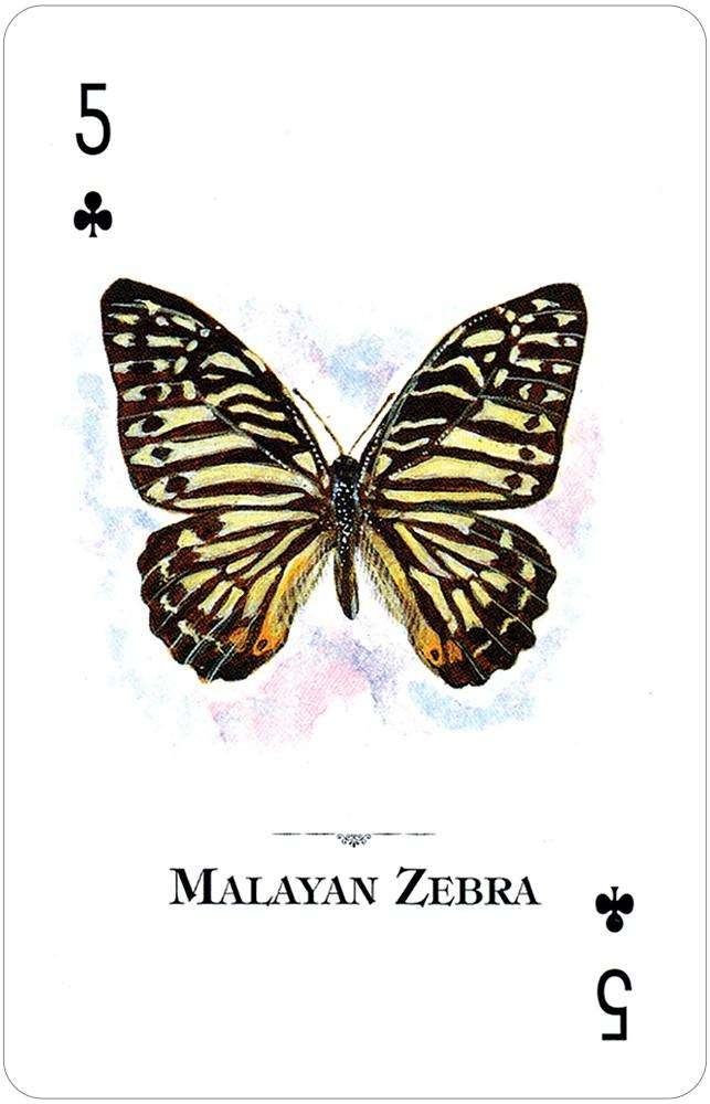 Butterflies of the Natural World Playing Cards USGS - Image 2