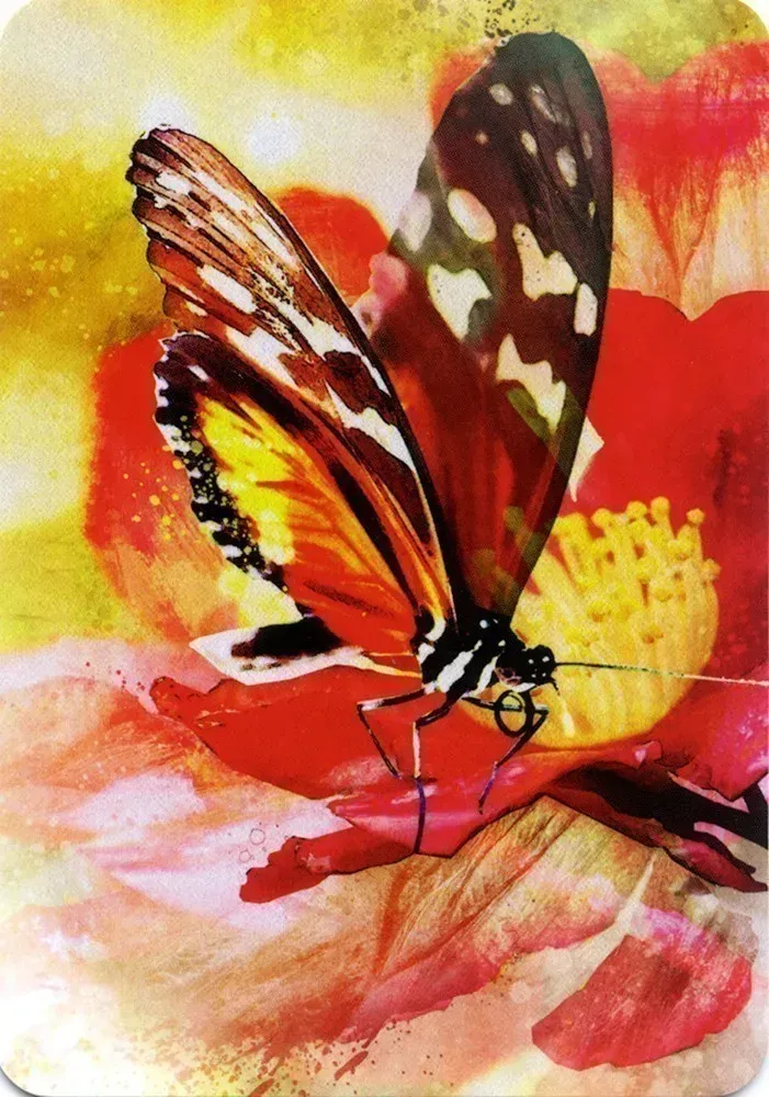 Butterfly Affirmations Cards Blue Angel - Image 4