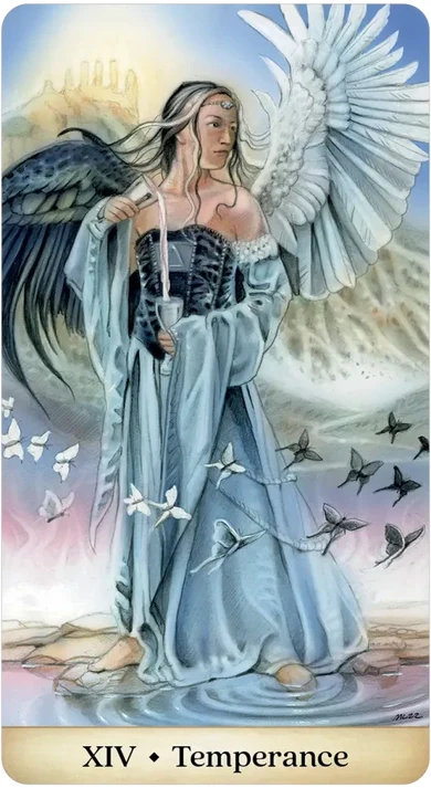Calandra Tarot - Image 7