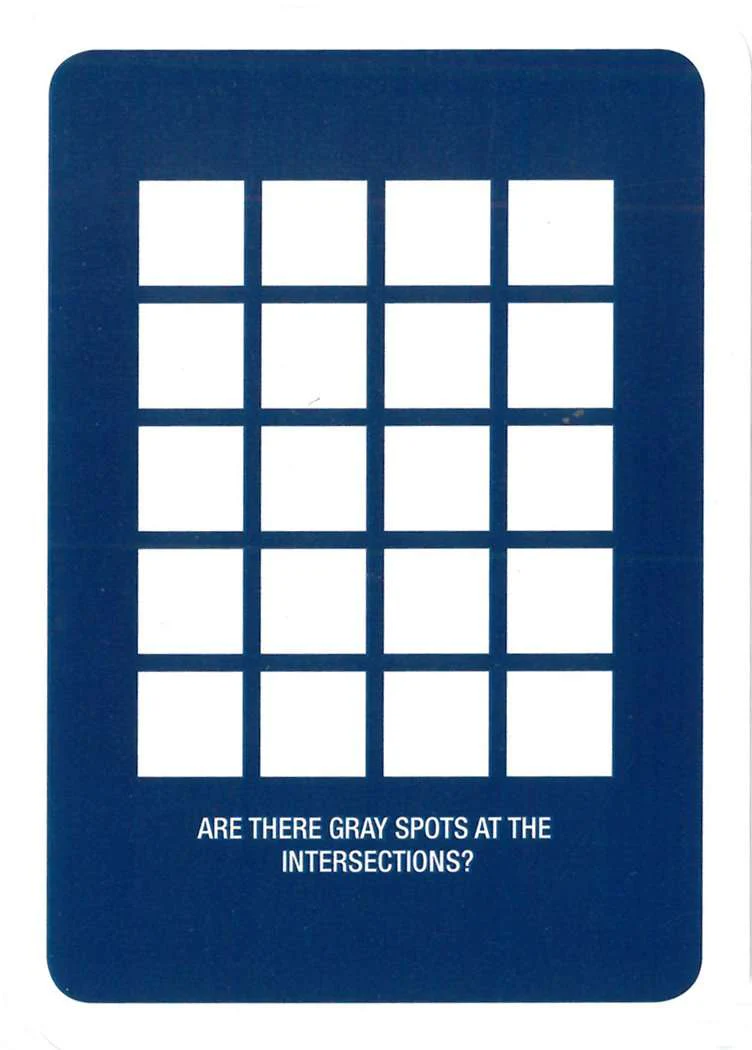 Can You Believe Your Eyes? Playing Cards USGS - Image 2