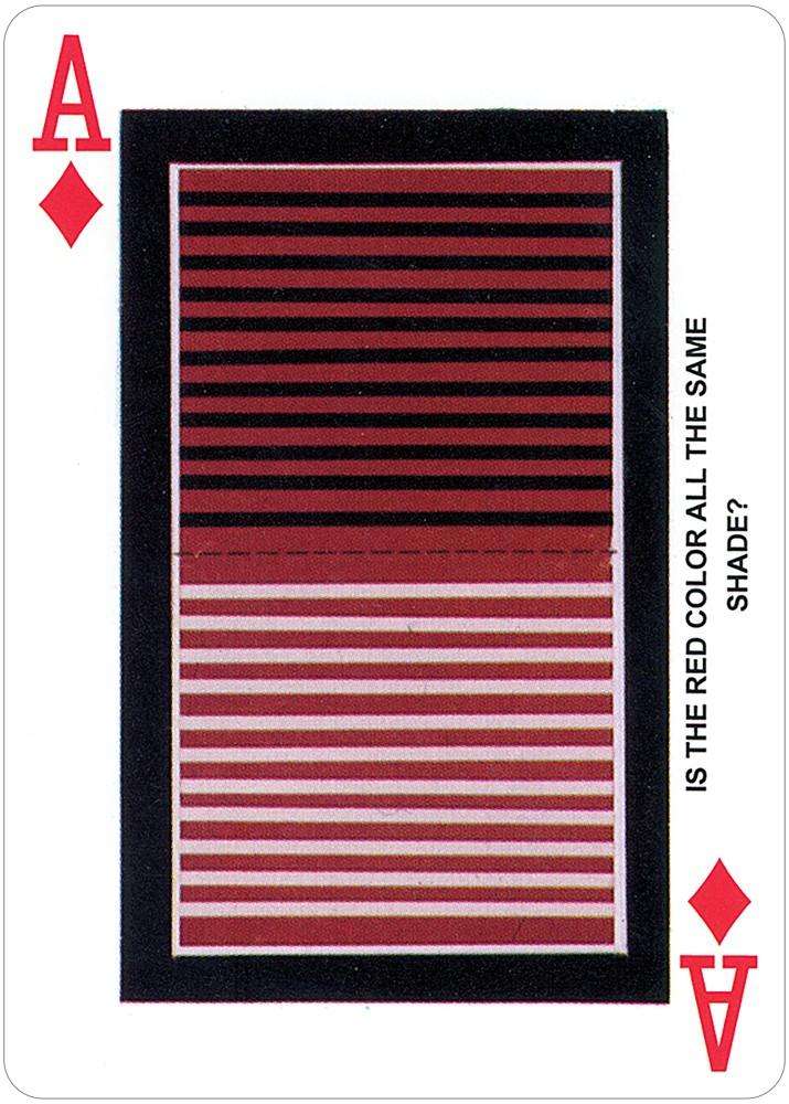 Can You Believe Your Eyes? Playing Cards USGS - Image 3