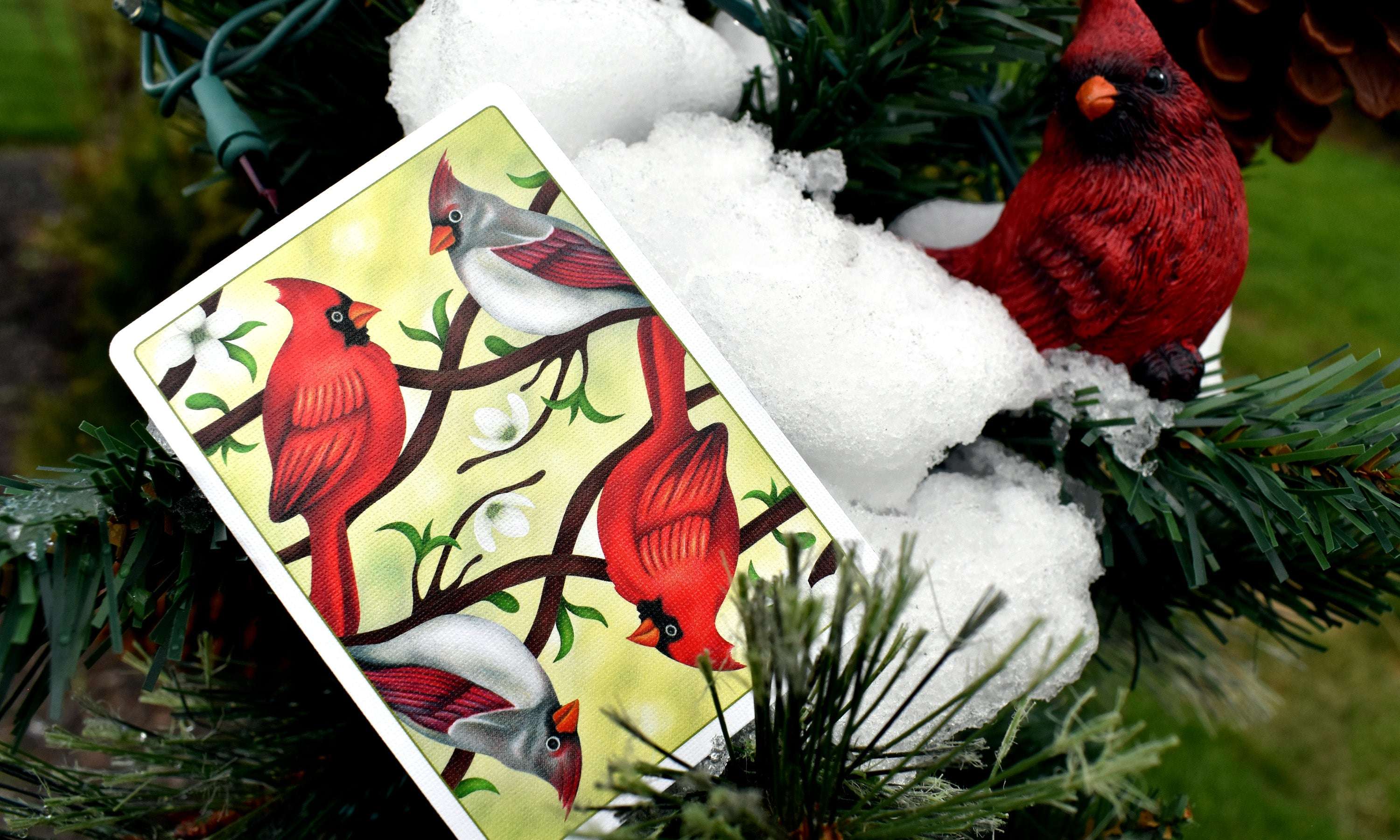 Cardinals Euchre Playing Cards LPCC - Image 2