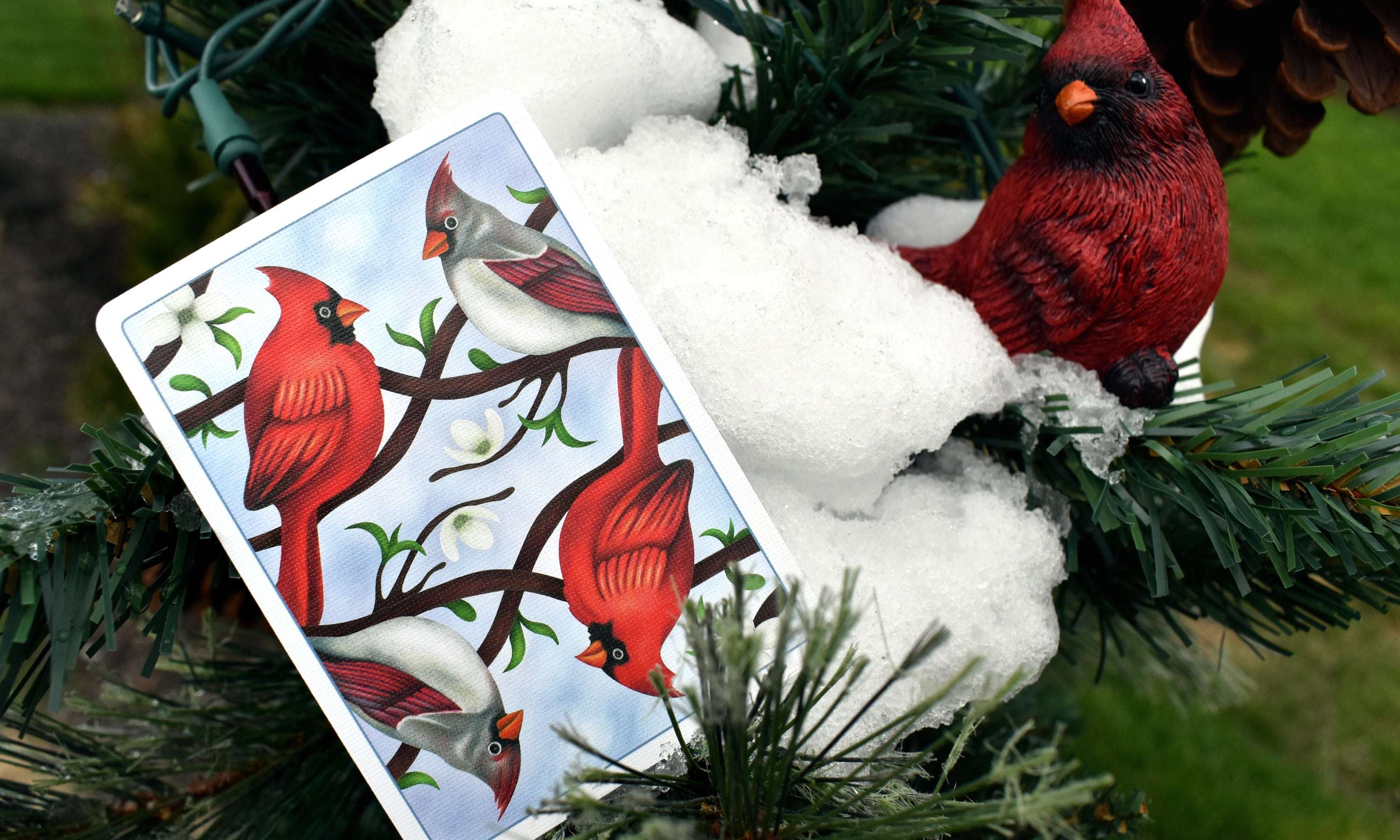 Cardinals Euchre Playing Cards LPCC - Image 3