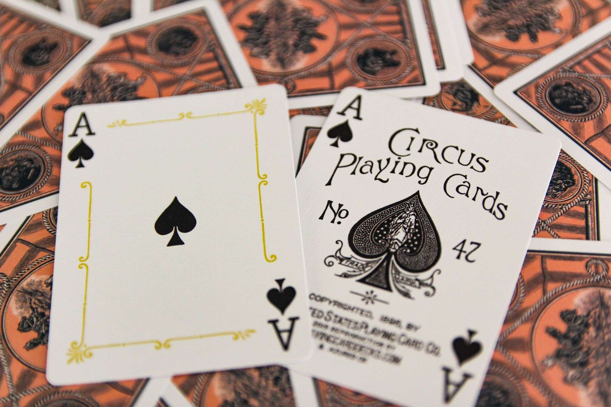 Circus Reproduction Gilded Playing Cards USPCC - Image 8