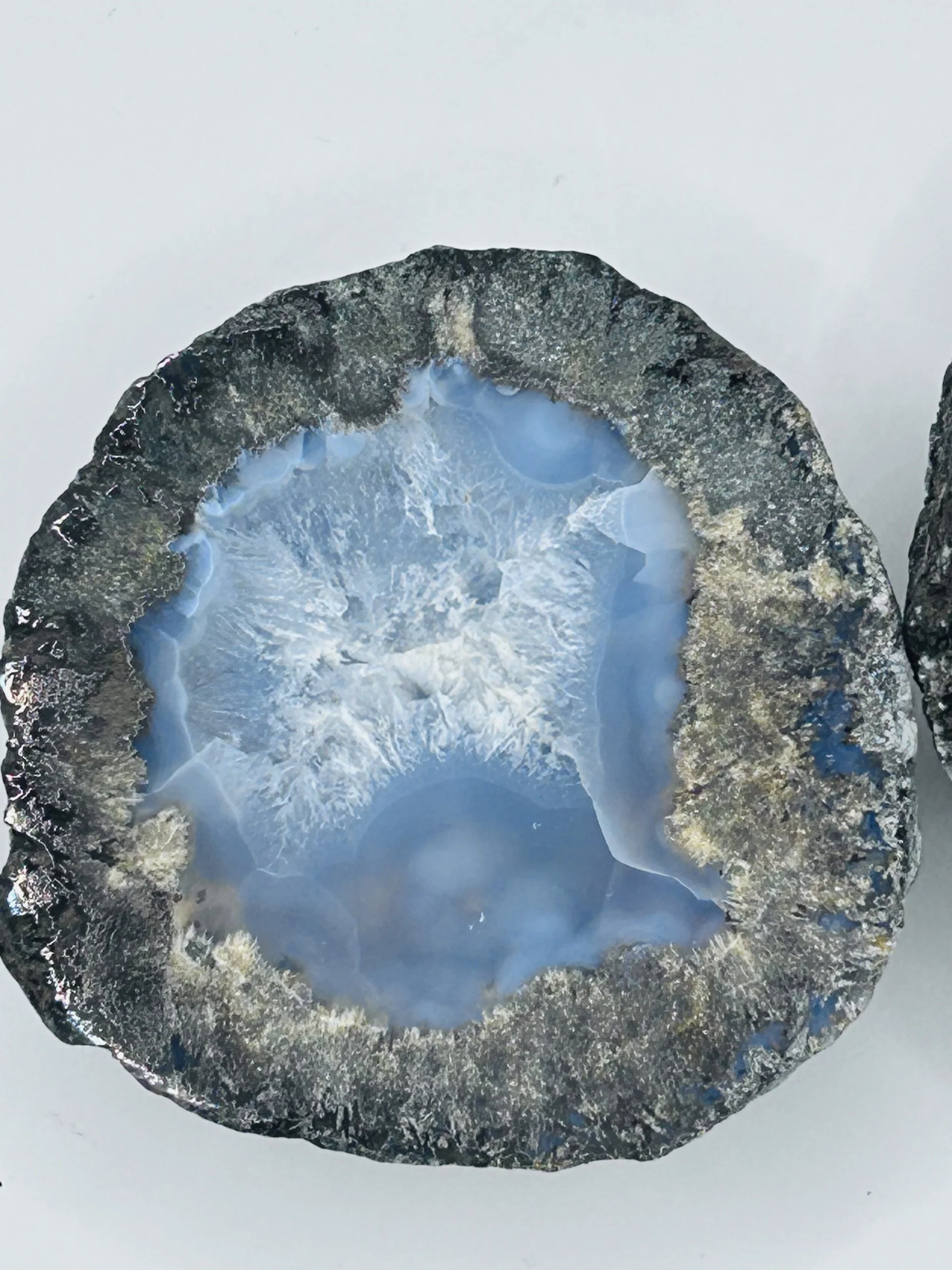 Coconut Geodes - Pair - Image 3