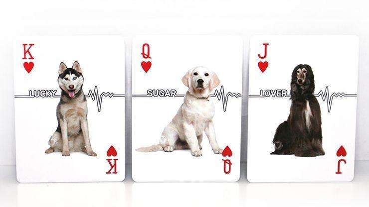 Companion Dog Playing Cards USPCC - Image 3