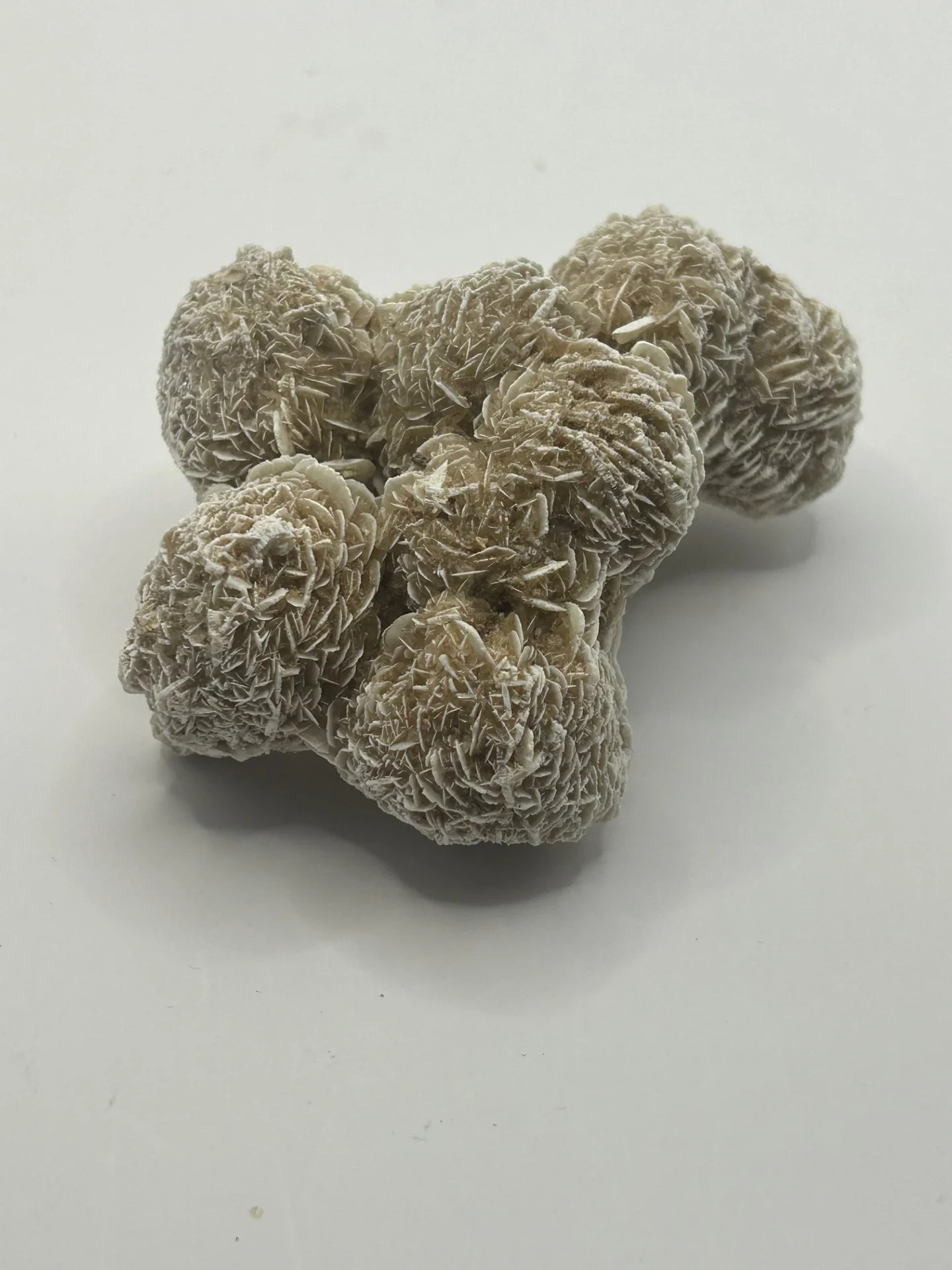 Desert Rose Cluster - Image 2