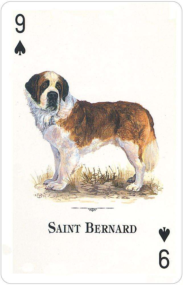 Dogs of the Natural World Playing Cards USGS - Image 2