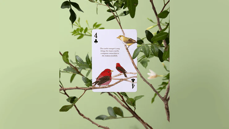 Eastern Forest Playing Cards USPCC - Image 4