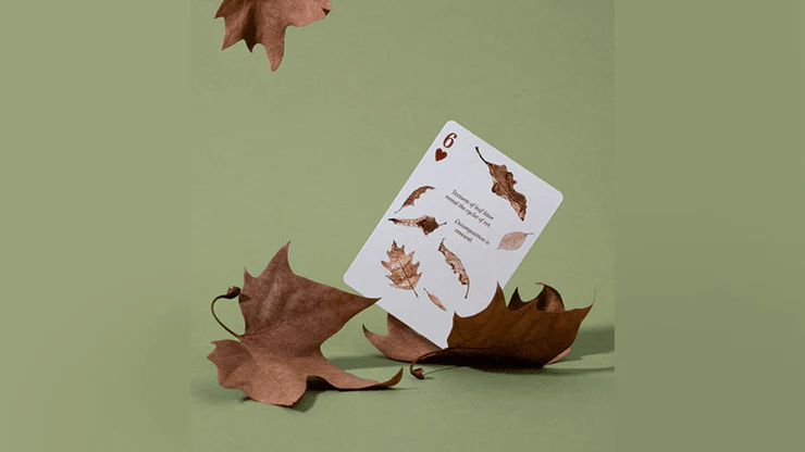 Eastern Forest Playing Cards USPCC - Image 5