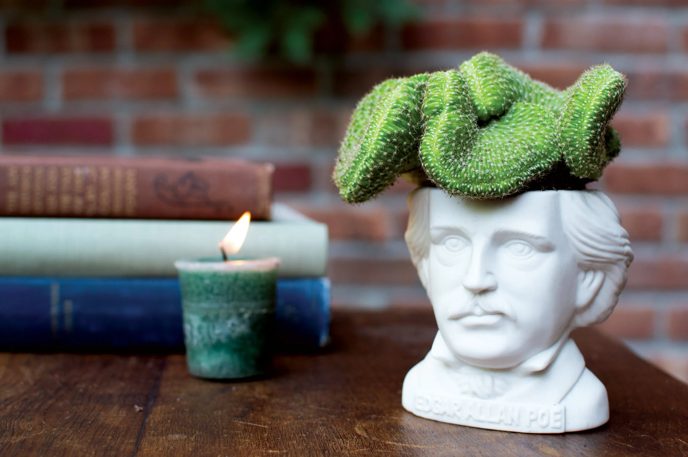 Edgar Allan Poe Mini Planter - Image 4