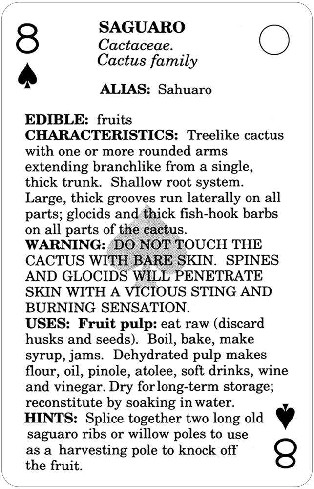 Edible Wild Foods Playing Cards USGS - Image 4