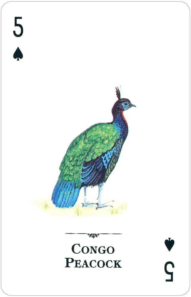 Endangered Species of the Natural World Playing Cards USGS - Image 2