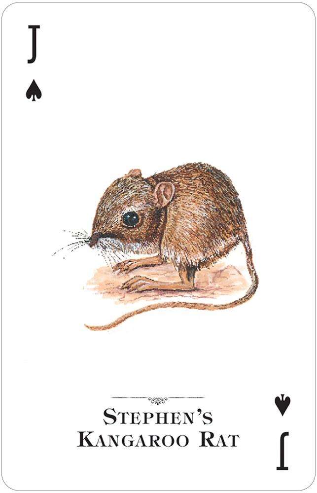 Endangered Species of the Natural World Playing Cards USGS - Image 3