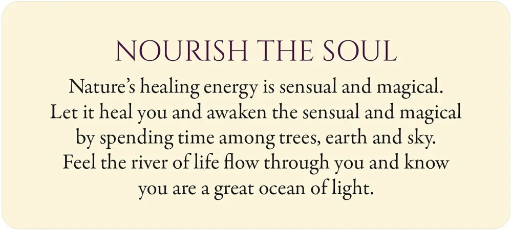 Eternal Light: 55 Guidance Cards for All That You Are - Image 4