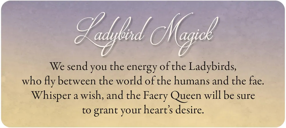 Faery Whispers Oracle Cards: Magickal Messages from the Realm of Enchantment - Image 5
