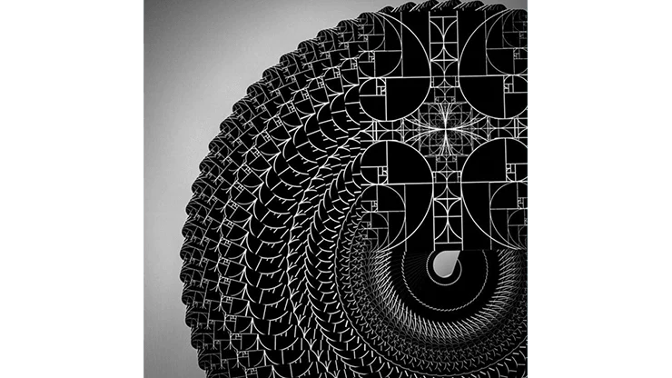 Fibs Original Black Playing Cards Cartamundi - Image 3