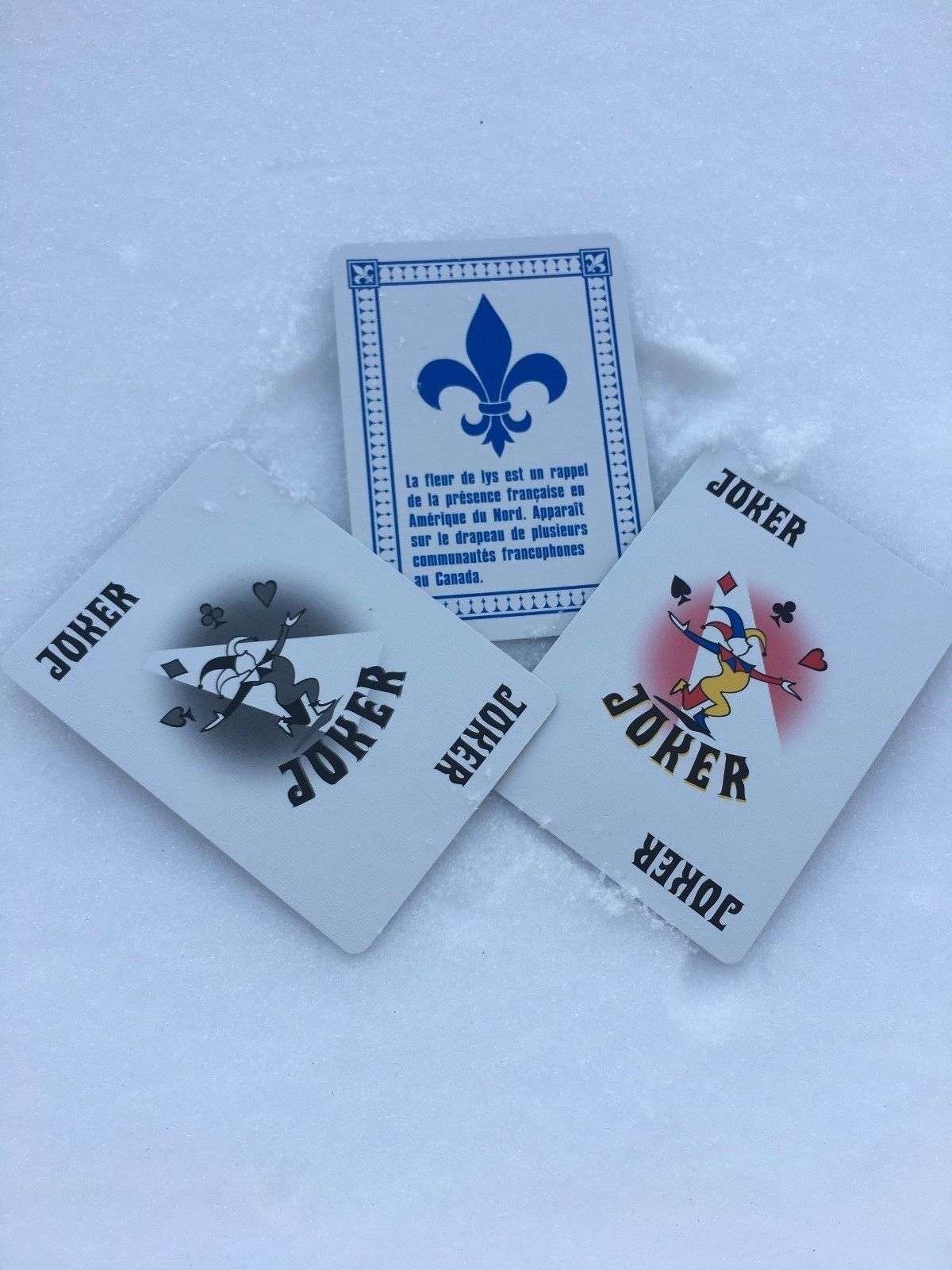 Fleur De Lys Blue Playing Cards USPCC - Image 4