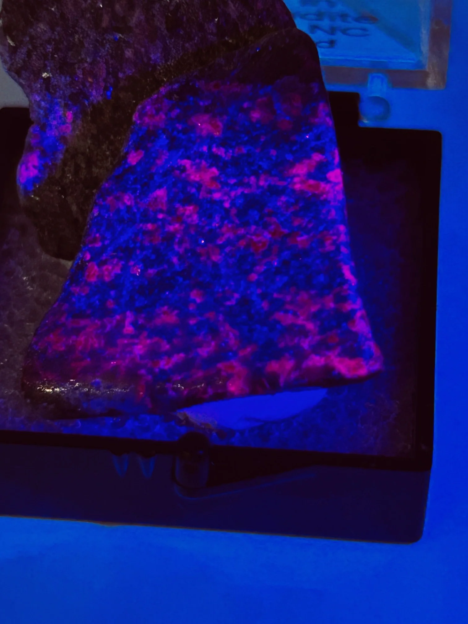 Fluorescent Ruby in Smaragdite - Image 2