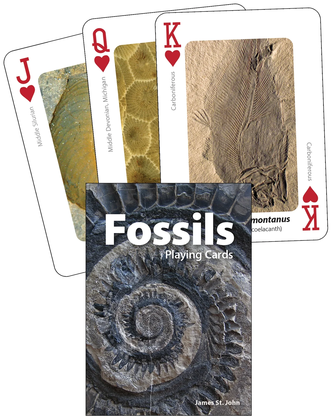 Fossils Playing Cards - Image 2