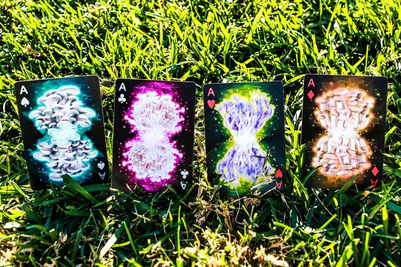 Fungi Mystic Mushrooms Mycological Playing Cards USPCC - Image 2