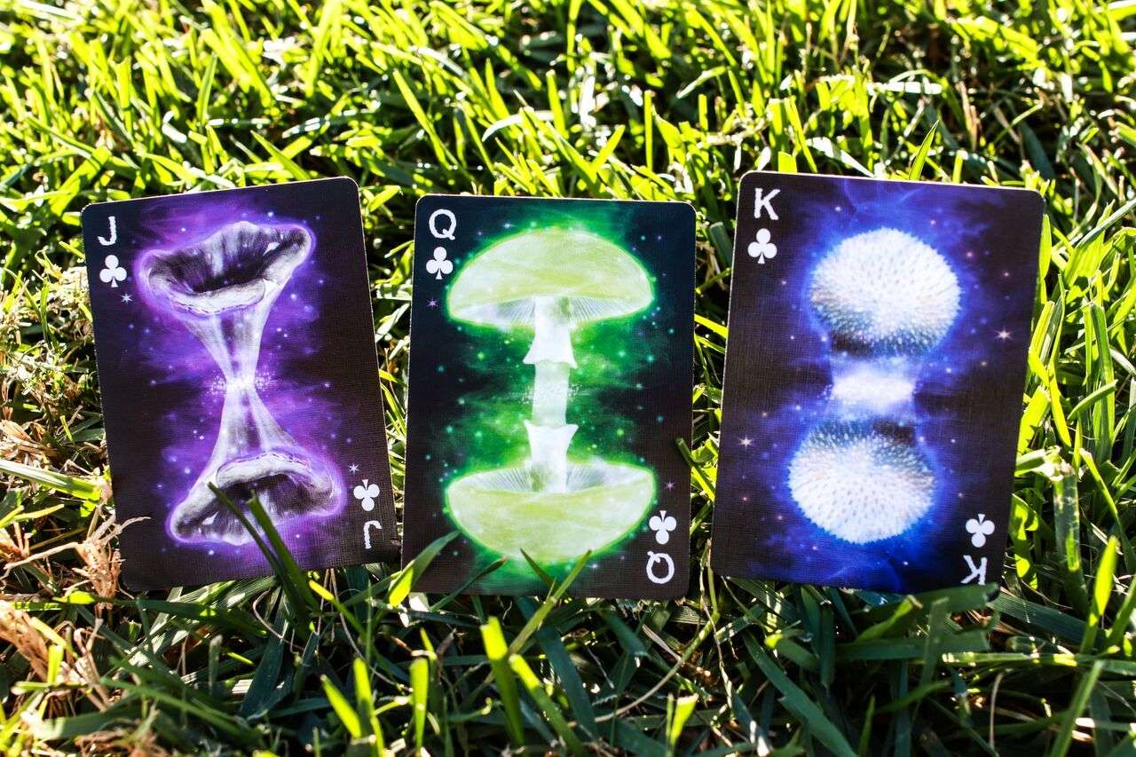 Fungi Mystic Mushrooms Mycological Playing Cards USPCC - Image 4