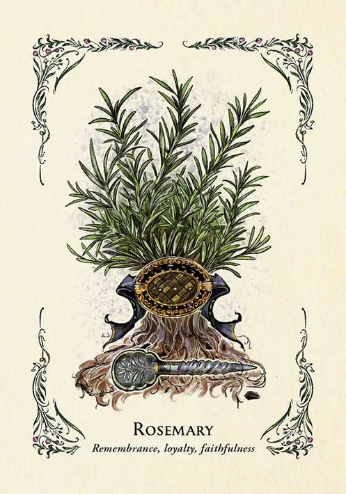 Green Witch's Oracle Deck By Arin Murphy-Hiscock - Image 4