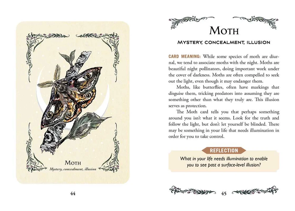 Green Witch's Oracle Deck By Arin Murphy-Hiscock - Image 6