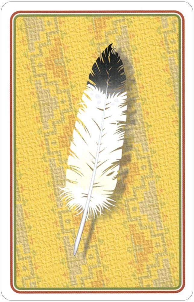 Indian Chiefs of the Old West Playing Cards USGS - Image 2