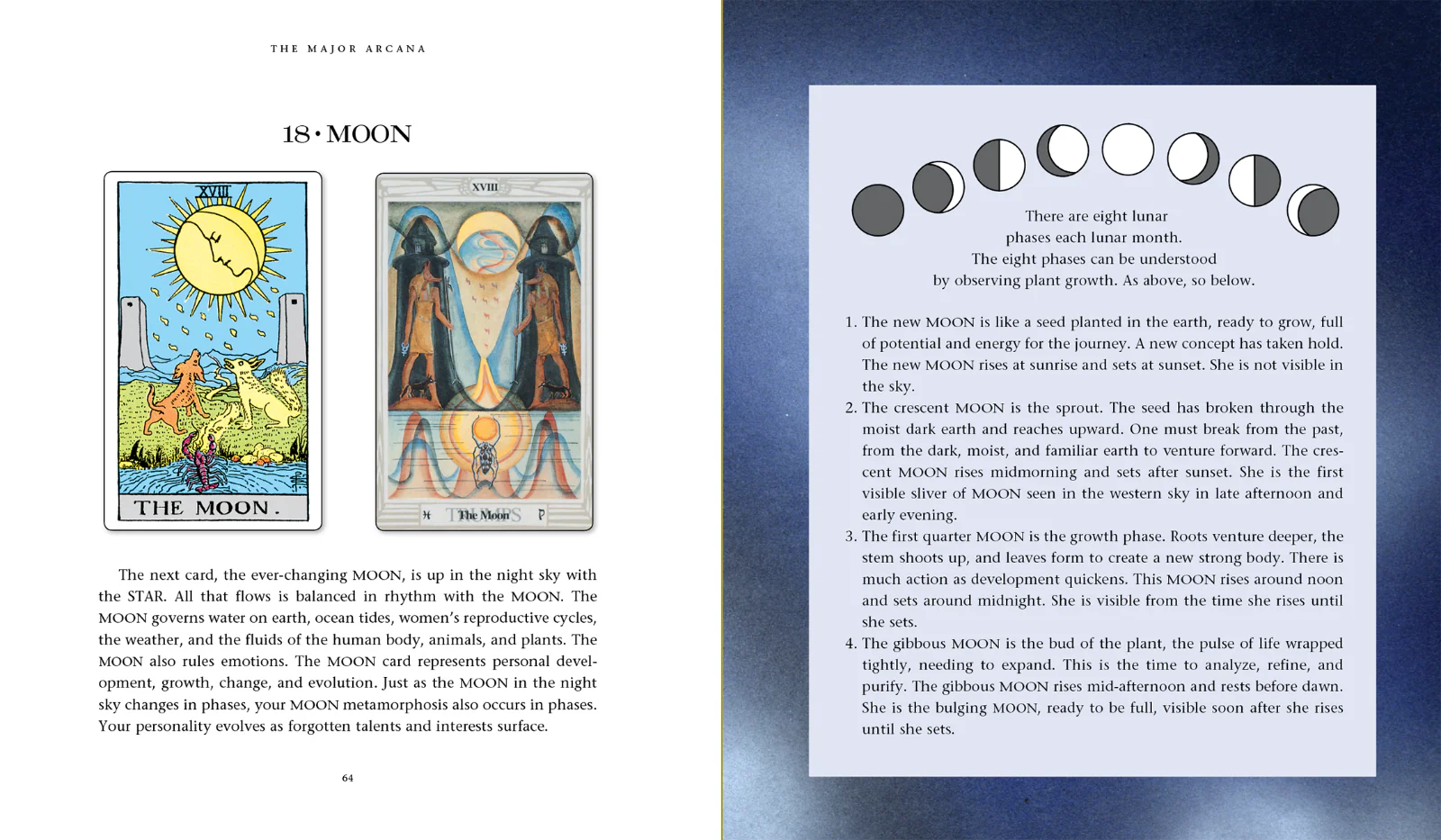 Introduction to Tarot Book New Sealed - Image 3