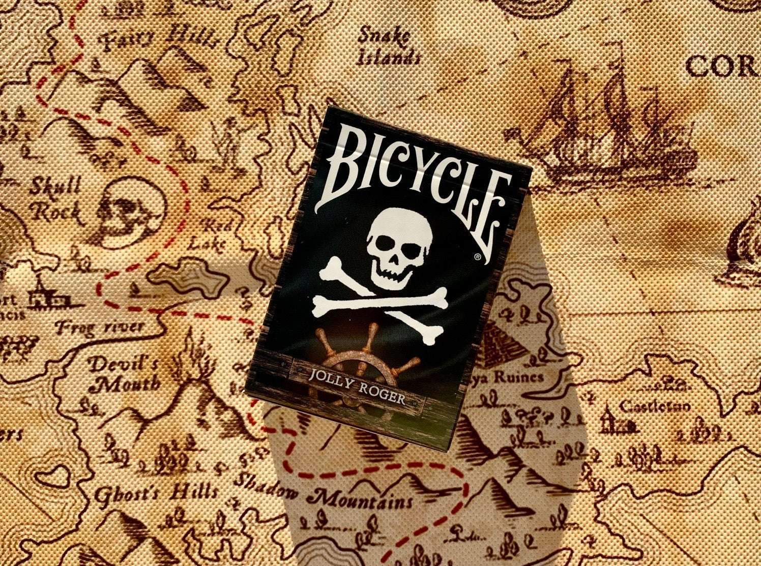 Jolly Roger Gilded Bicycle Playing Cards - Image 3