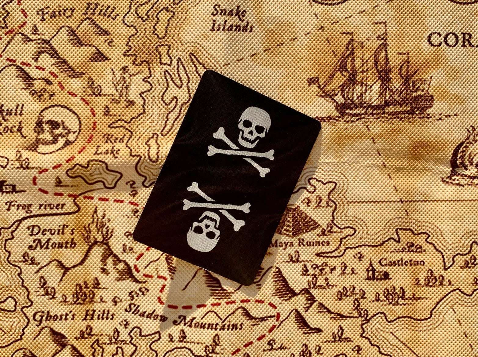 Jolly Roger Gilded Bicycle Playing Cards - Image 4