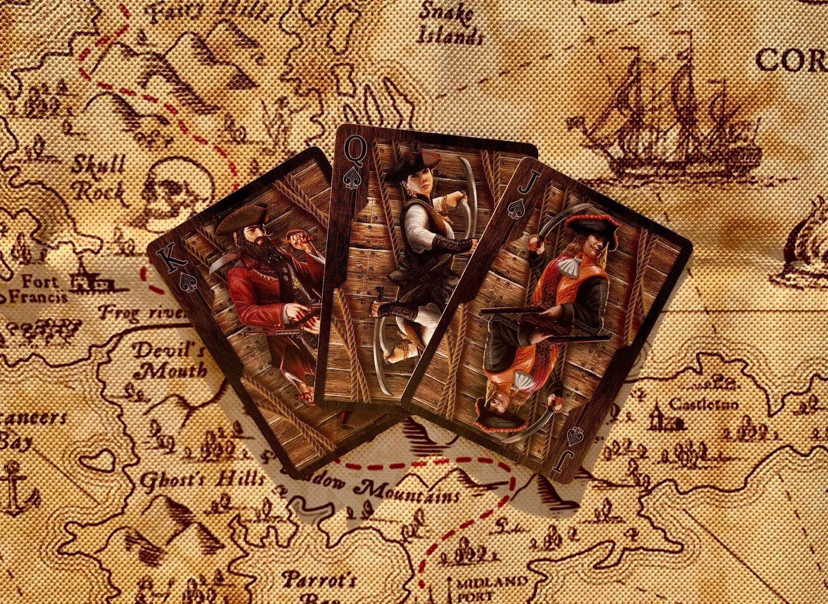 Jolly Roger Gilded Bicycle Playing Cards - Image 9
