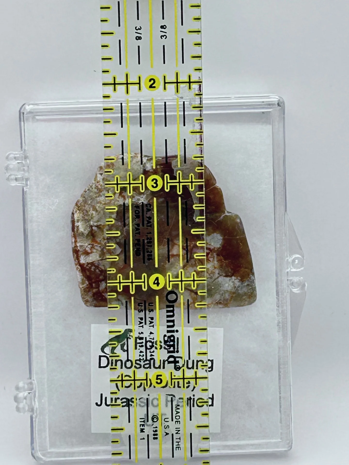 Jurassic Coprolite – Fossilized Dinosaur Dung - Image 2