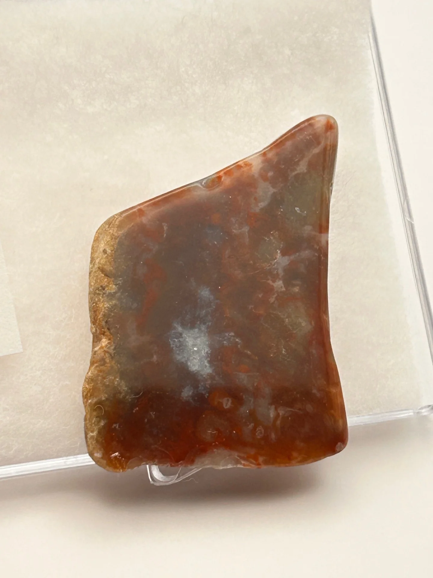 Jurassic Coprolite – Fossilized Dinosaur Dung - Image 2
