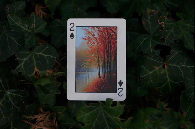 Limited Edition Geo Playing Cards by Tara Studio - Nature's Wonders in Your Hands - Image 4