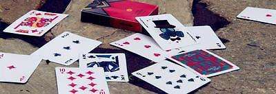 Little Island Playing Cards Deck USPCC - Image 6